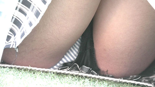 グリーンパークへようこそ79