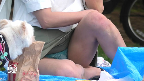 グリーンパークへようこそ42