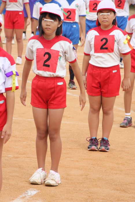 パンパンたんピー　210