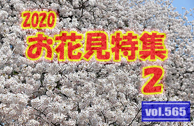 vol.565：2020年 お花見特集 第２弾 【再販】