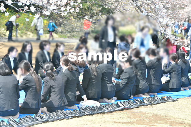 お花見✨スーツガールズセレクト