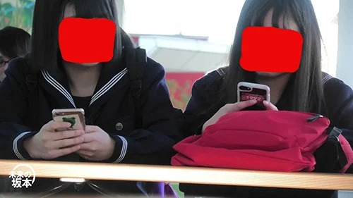 小さい春、咲いてます