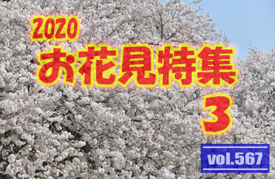 vol.567：2020年 お花見特集 第３弾